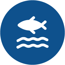 Milieu_Marin_Littoral